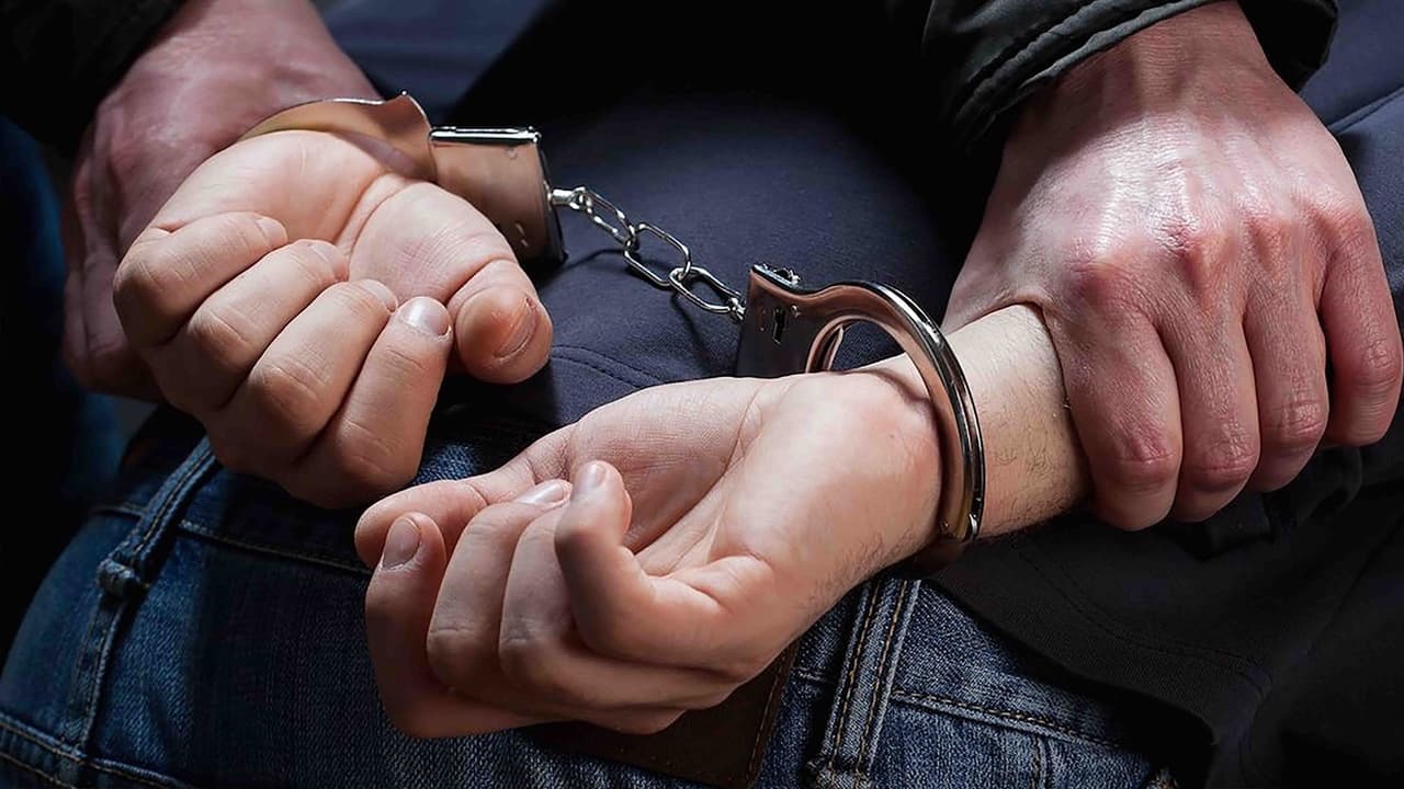 Афера больше чем на полмиллиарда